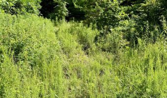 00 Coal Branch Rd, Beattyville, KY 41311