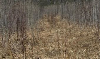 TBD40 Township Road 5743, Alborn, MN 55702