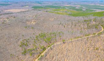 Larkin Mountain, Amherst, VA 24521