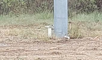 861 Clayton Rd, Ashford, AL 36312