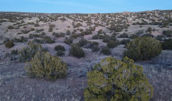 Tbd Fort Defina, Abiquiu, NM 87510