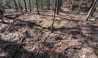 12 68 Acre 99 Rd, Blair, SC 29015