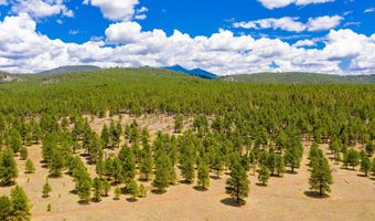 12071 Pegasus Rd, Bellemont, AZ 86015