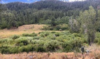 3230 Bear Creek Rd, Bayfield, CO 81122