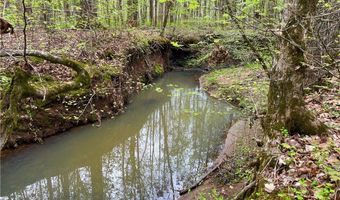 81 N Hwy, Calhoun Falls, SC 29628