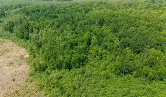 59971 Cloverdale Rd, Askov, MN 55704