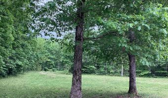 951 County Road 206, Alton, MO 65606