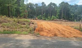 709 Old Pinola Braxton Rd, Braxton, MS 39044