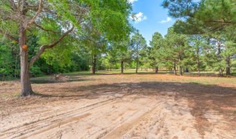 Hwy 69, Alba, TX 75410