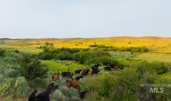 3127 Us Hwy 95, Cambridge, ID 83610