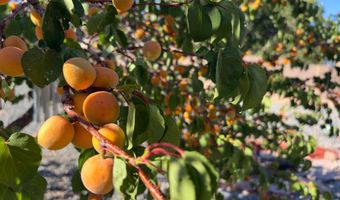 5723 Aida Rd NW, Albuquerque, NM 87114