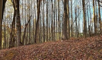 25568 Calima Dr, Abingdon, VA 24210