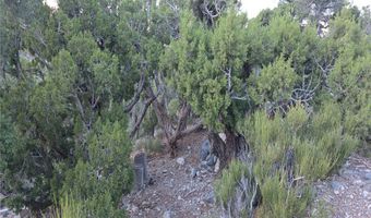 Bugling Bull Road, Cold Creek, NV 89124
