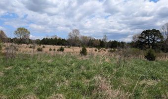 56 Highway, Ash Flat, AR 72513