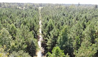 Old Buckhead Road, Bamberg, SC 29003