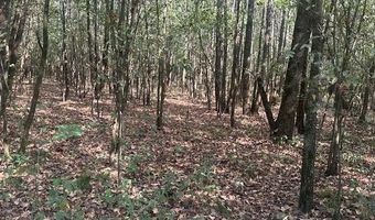 TOW BOAT Ln, Adamsville, TN 38310