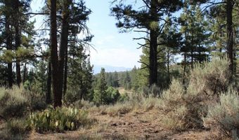 030 Butterfly Peak Rd, Mountain Center, CA 92561