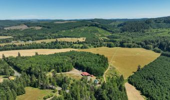 10090 HIGHWAY 202, Birkenfeld, OR 97016