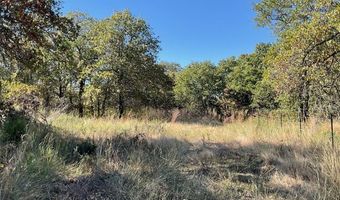 Tbd CR 2675, Alvord, TX 76225