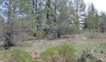 Night Owl Drive Lot 2, Bonanza, OR 97623