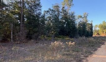Arpana Circle lot # 1, Alford, FL 32420