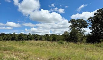 Lot 21 Rains County Rd 2610, Alba, TX 75410