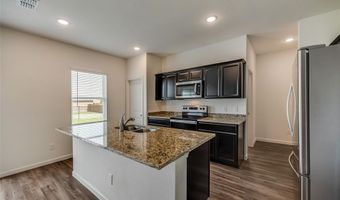 713 Peach Tree Ln, Anna, TX 75409