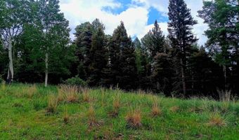 Lot 1220 Rainbow Overlook, Angel Fire, NM 87710