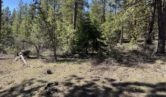 Horned Owl Lane, Bonanza, OR 97623