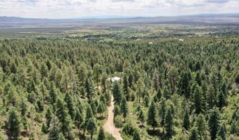 End of El Salto Road, Arroyo Seco, NM 87514