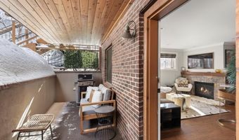 835 E Hyman Ave D, Aspen, CO 81611