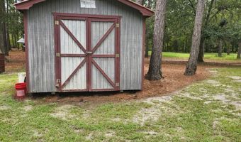 786 Blackberry Rd, Baconton, GA 31716