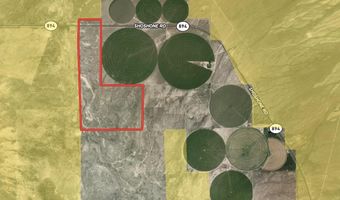 358 Acres Shoshone Rd, Baker, NV 89831