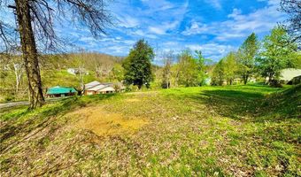 1 Mindia Ln, Alum Creek, WV 25003