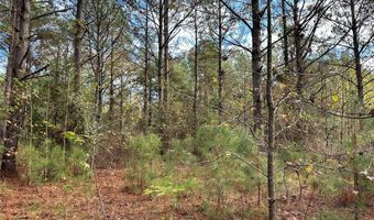 2 BEL RU Lndg, Autaugaville, AL 36003