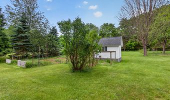 1123 N Clark St, Albion, MI 49224