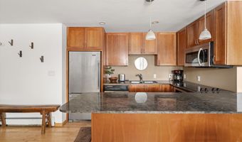 935 E Hopkins Ave 7, Aspen, CO 81611