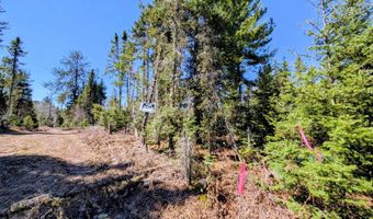 8 Acres E Cable Lake Rd, Amasa, MI 49903
