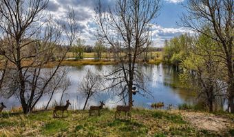 38250 COUNTY RD 170, Agate, CO 80101