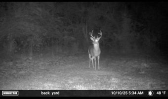 6838 HIGHWAY 167, Bernice, LA 71222
