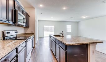 825 Cherry Blossom St, Anna, TX 75409