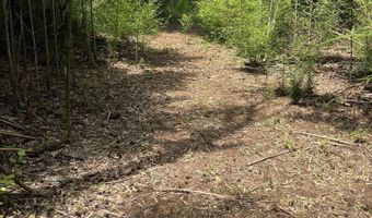 385 CARR Rd, Alpine, AL 35014
