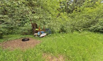 10235 RIDGE VIEW Ter, Birkenfeld, OR 97016