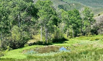 3465 TBD, Glenwood Springs, CO 81601