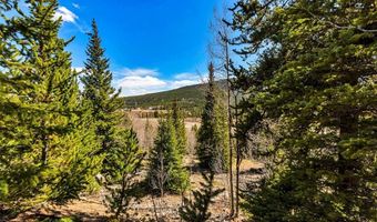 270 Co Rd 667 Lot 0, Alma, CO 80440