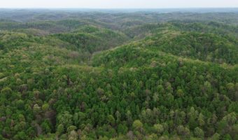 1271 A Tunnel Ridge Rd, Argillite, KY 41121