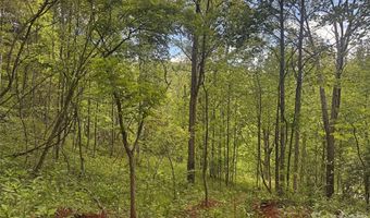 V/L Wolf Crossing, Bakersville, NC 28705
