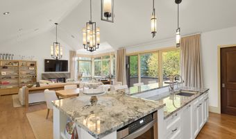 509 W Hopkins Ave, Aspen, CO 81611