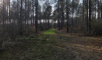 U.S. Highway 51, Bogue Chitto, MS 39629