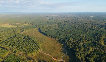 644 Ash-Harrel Loop, Abbeville, GA 31001